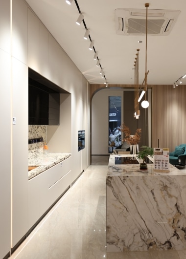 Modern integrated kitchen cabinets with built-in appliance solutions.